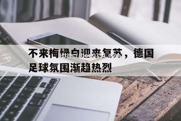 不来梅绿白迎来复苏，德国足球氛围渐趋热烈